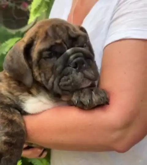 vlcsnap-2025-08-26-11h24m16s686